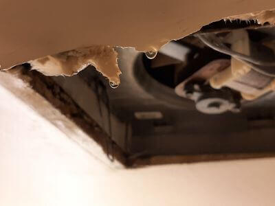 Professional mold removal services in Valley Center, CA - Valley Center Mold Specialist